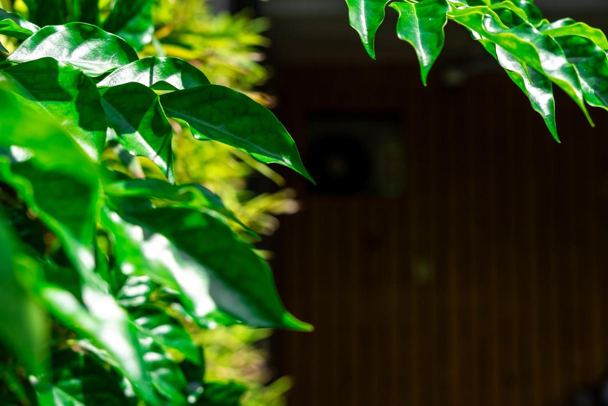 Jiaoxi Song Tian B&B エクステリア 写真